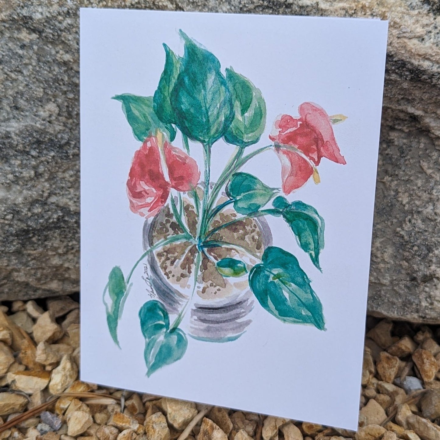 Laceleaf in Bloom Greeting Card by Nhien La