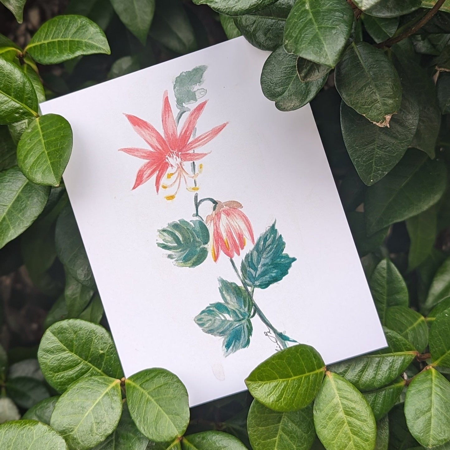 Morning Bloom Greeting Card by Nhien La