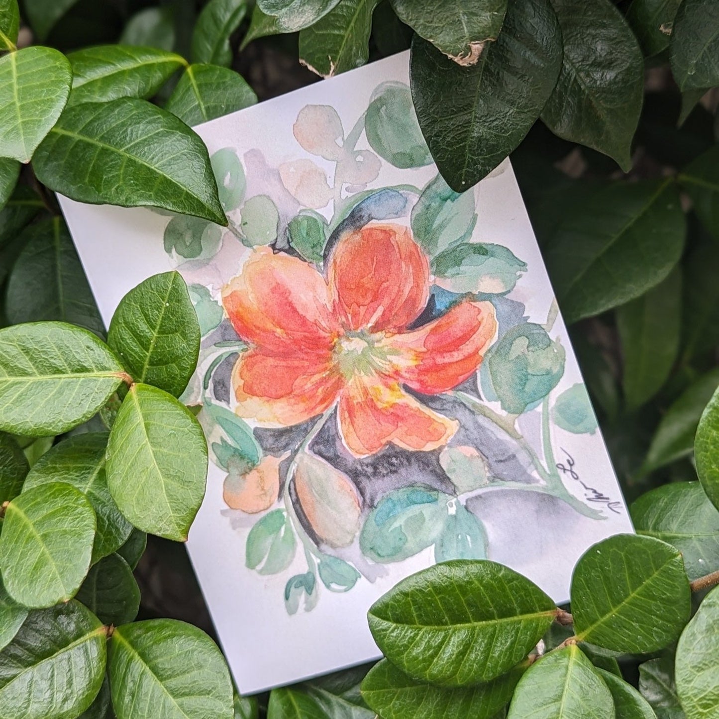 Botanical Collection II Greeting Cards by Nhien La (Pack of 6)