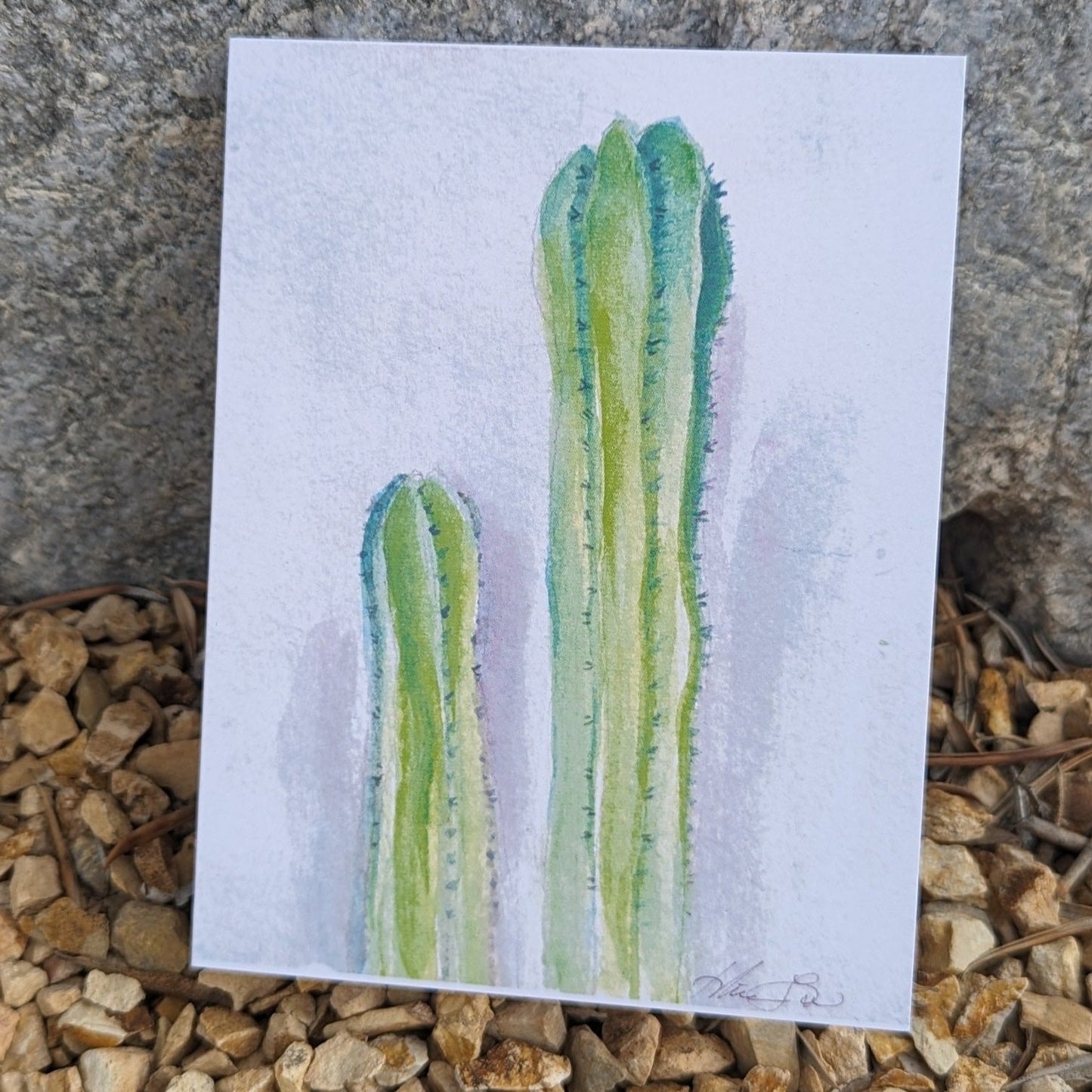 Cacti in Bloom Greeting Card by Nhien La